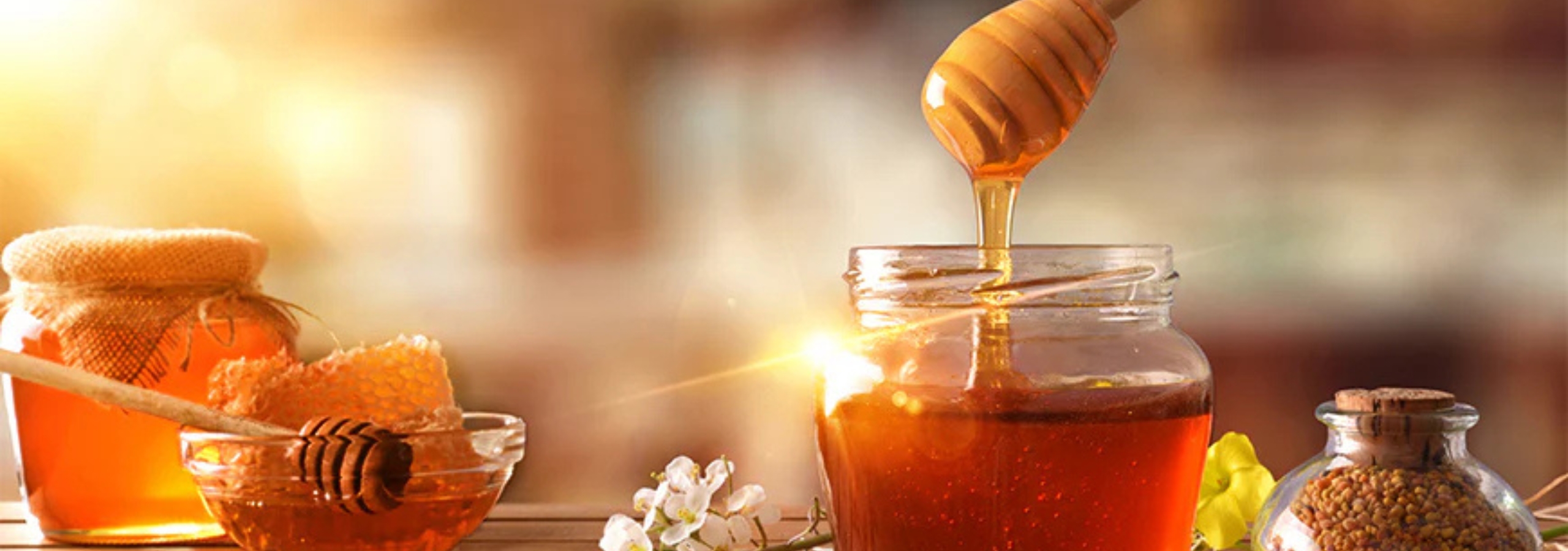 Untitled design (63)