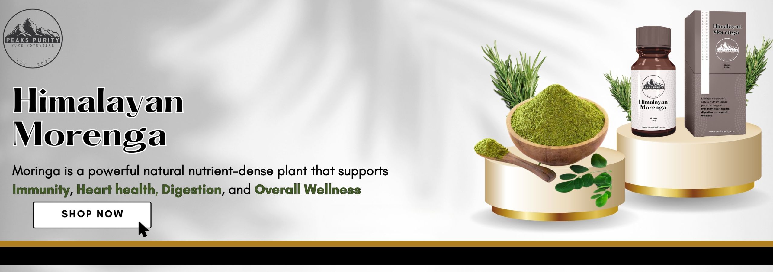 Untitled design (91)