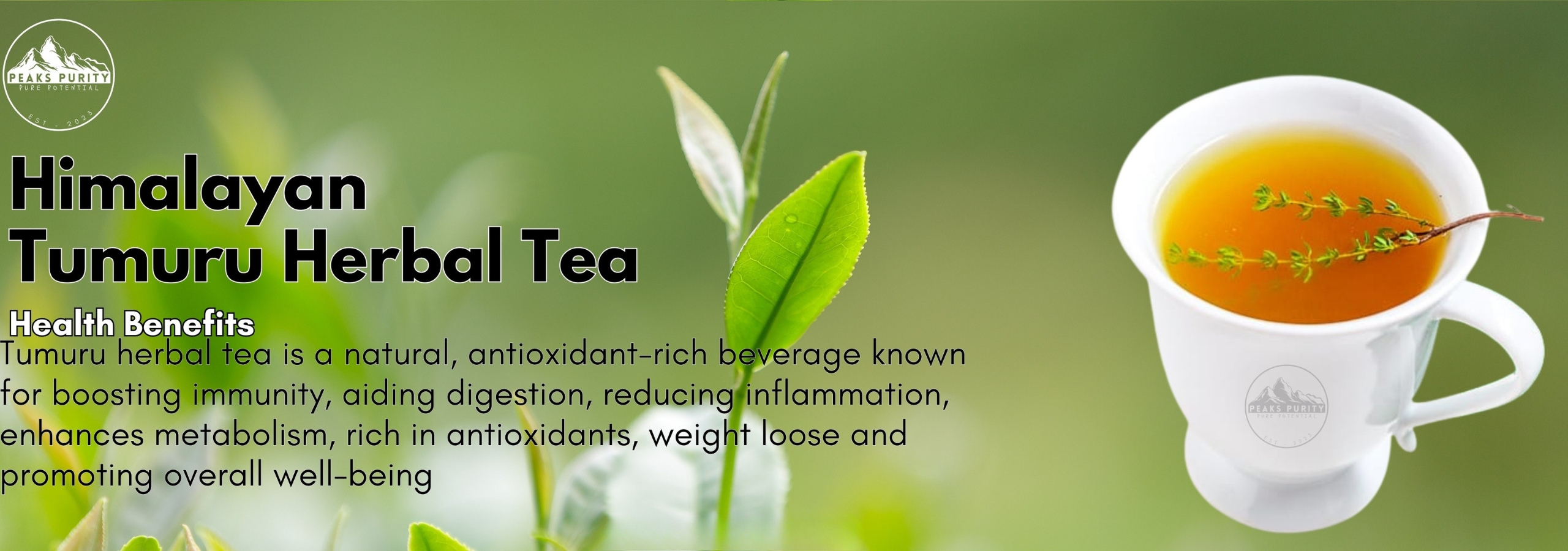 Untitled design (92)