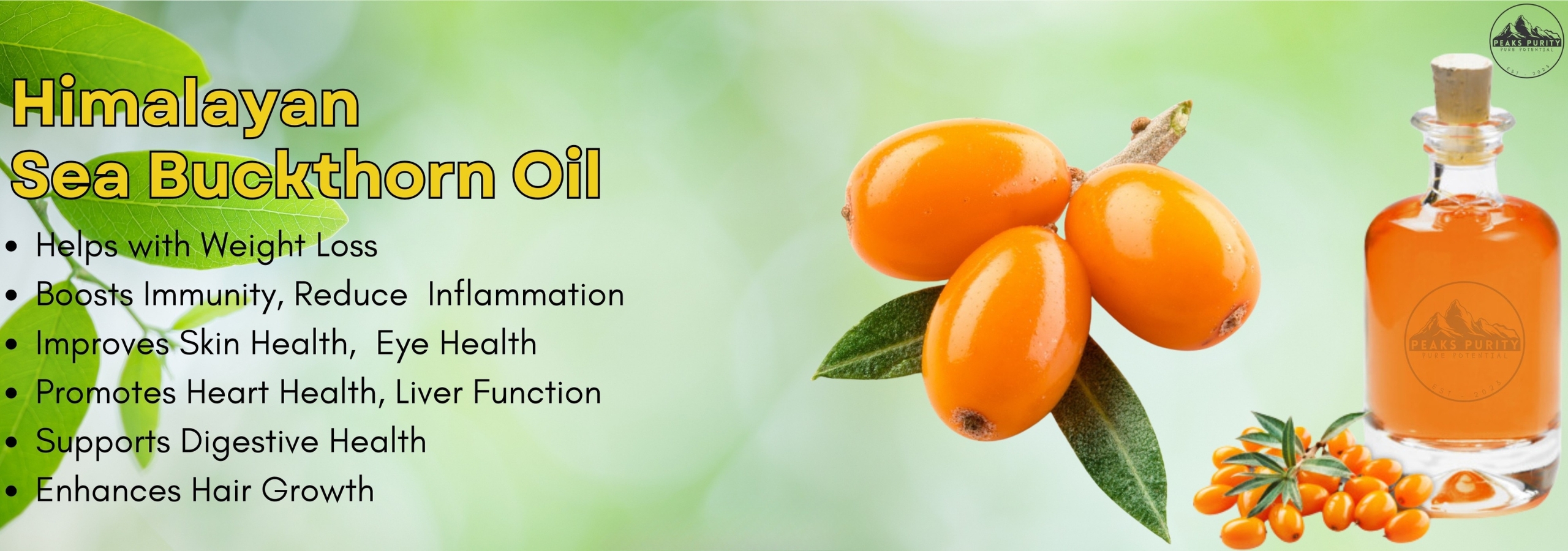 Untitled design (93)