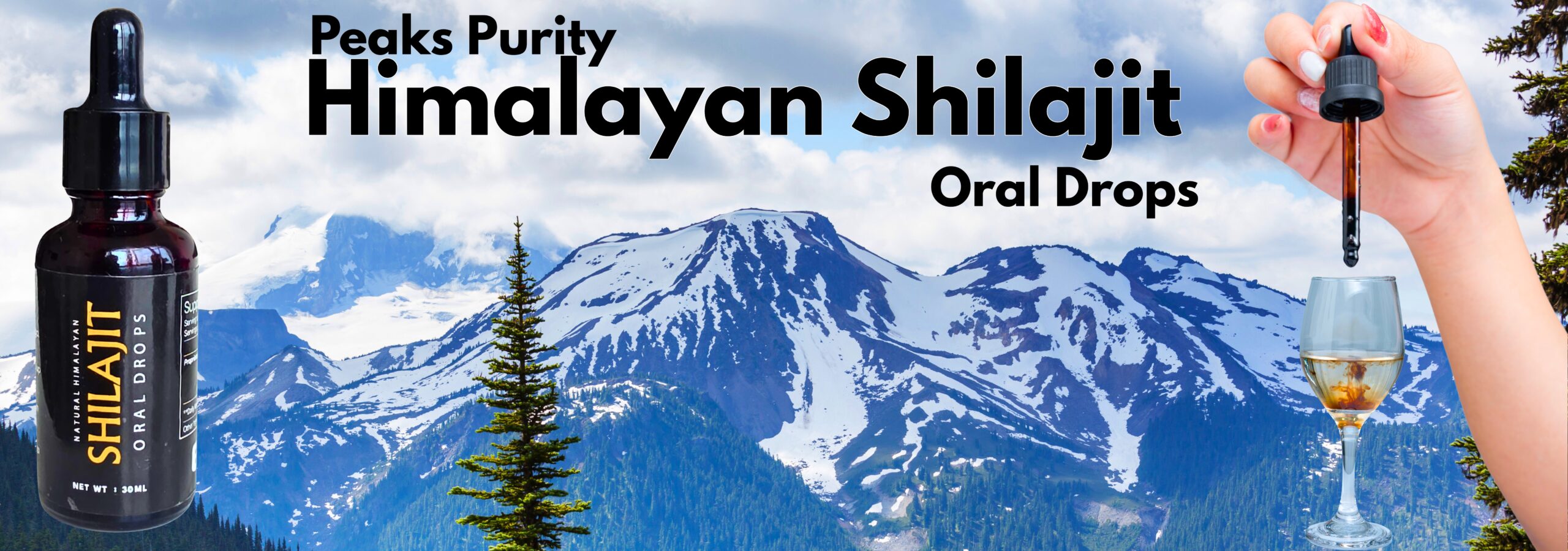 Himalayan Shilajit (4)